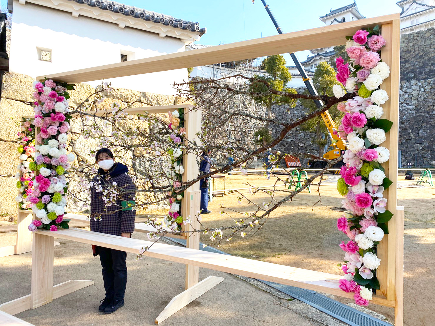 桜咲く世界文化遺産・国宝姫路城「一足早いお花見気分を」