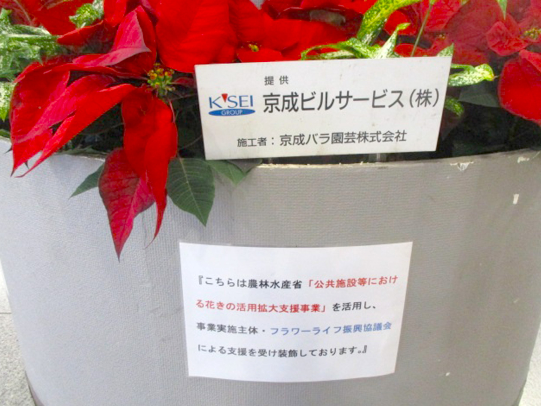 京成バラ園、京成電鉄線の駅にバラを設置