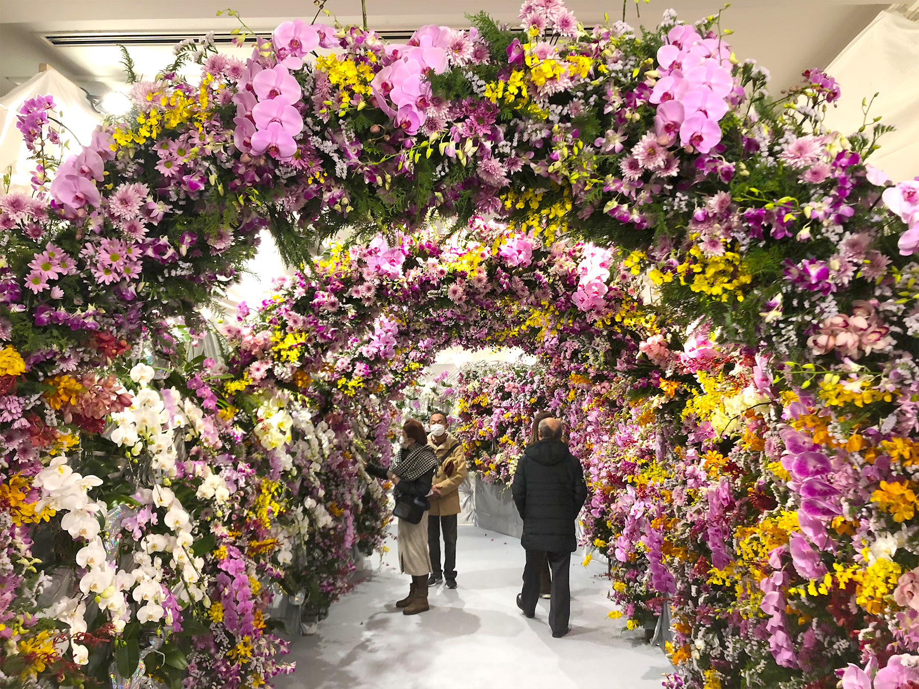 長崎・ハウステンボスを彩る「バラ」「ポインセチア」「胡蝶蘭」３つの花の特別展