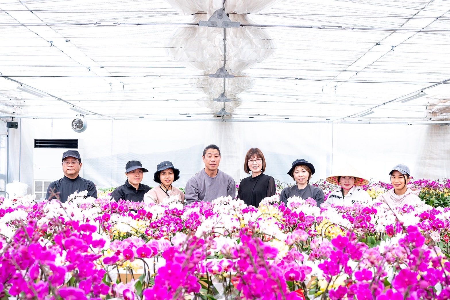 熊本県宇城市の温室で、胡蝶蘭とともに立つ「なかがわ」の生産者の皆さん