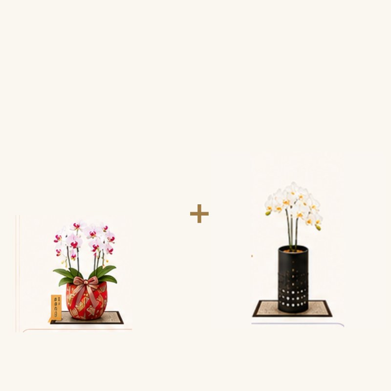 「華あかり」×1 ＋「天」×1